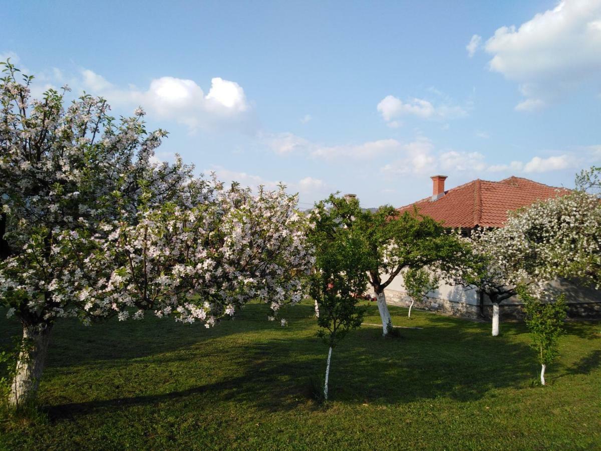 Appartamento Mala Basta Bajina Basta Esterno foto